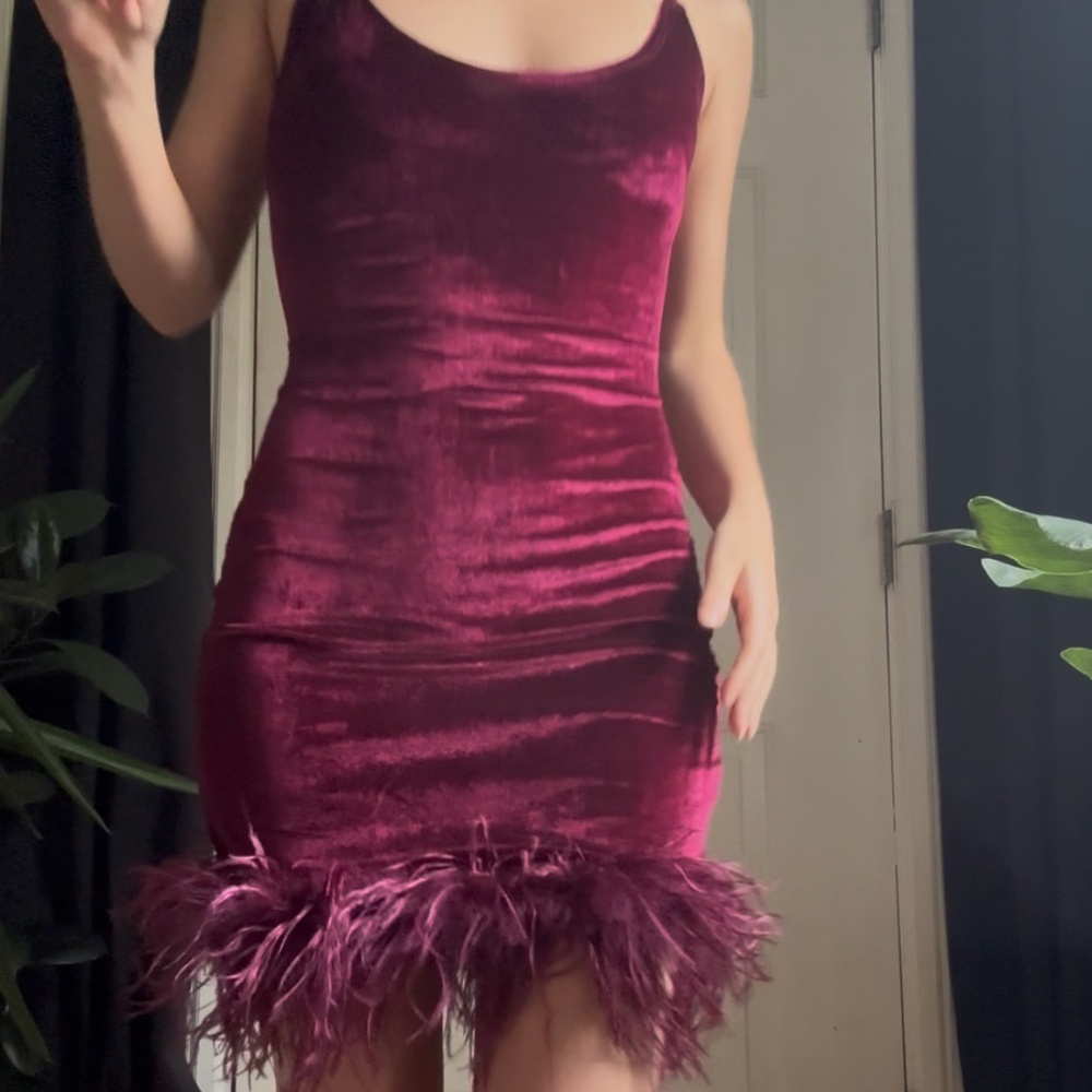 Velvet Feather Trim Dress